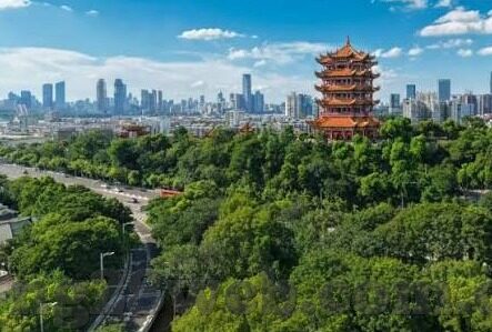 足球比分电竞足球-当绿茵场撞上虚拟世界，足球比分与电竞足球的跨界狂欢
