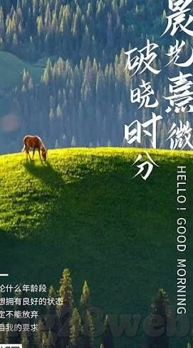 足球比赛赛比分-足球比赛比分，绿茵场上的命运交响曲