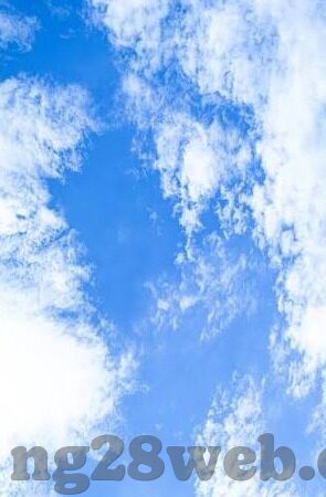 足球即时比分动态-足球即时比分动态，绿茵场上的实时脉搏