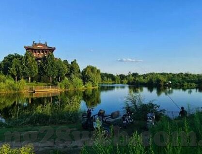 足球即时比分球探比分-足球即时比分与球探比分的深度解析，球迷的必备工具与数据宝库